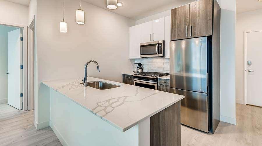 Sentral Michigan Avenue Aparthotel ชิคาโก ภายนอก รูปภาพ Kitchen